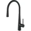 Franke | Steel 1.75 GPM Single Hole Pull Down Kitchen Faucet